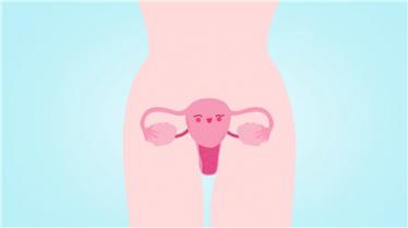 腹腔镜手术后多久可以同房3 腹腔镜手术后多久可以同房3