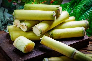 来大姨妈可以吃甘蔗吗 来大姨妈可以吃甘蔗吗