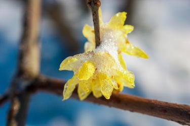 2021年小雪节气出生的男孩取名 2021年小雪节气出生的男孩取名