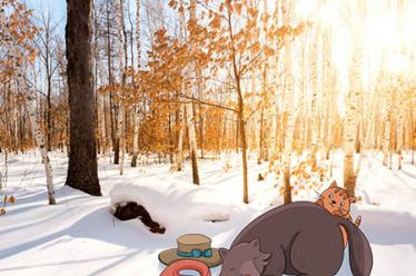 怀孕同房流产了怎么办 怀孕同房流产了怎么办