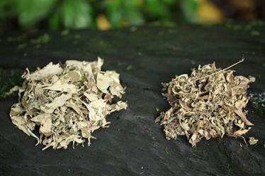 压腿的好处 压腿的好处