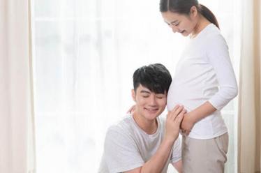 红枣上火吗2 红枣上火吗2