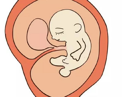 孕妈可以吃吃火锅吗