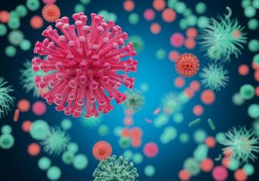 头孢羟氨苄的作用与功效1 头孢羟氨苄的作用与功效1