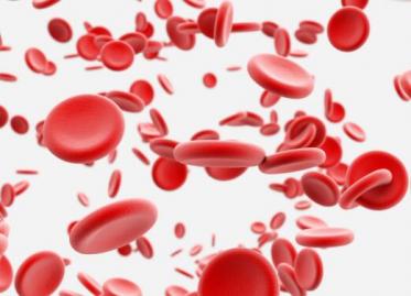 头孢羟氨苄的作用与功效4 头孢羟氨苄的作用与功效4