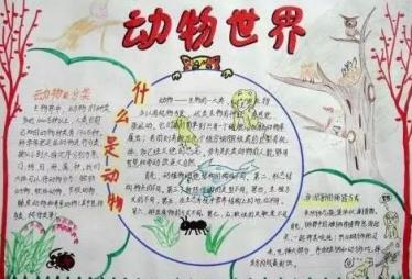 人类与动物手抄报图片大全 人类与动物手抄报图片大全
