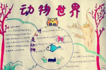 关于猫的手抄报图片大全2 关于猫的手抄报图片大全2