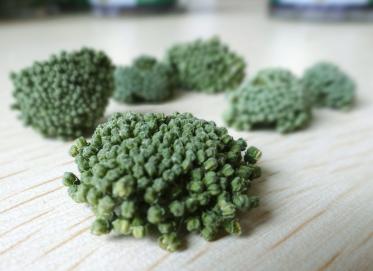三七花泡水喝有什么功效1 三七花泡水喝有什么功效1