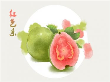 孕妇发烧可以吃番石榴吗 孕妇发烧可以吃番石榴吗