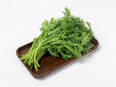 孕妇吃茼蒿降血糖吗 孕妇吃茼蒿降血糖吗
