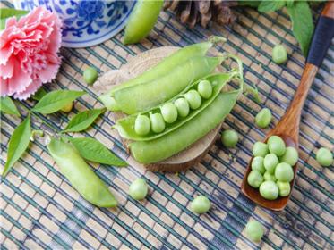 孕妇吃豌豆尖是缩宫的吗 孕妇吃豌豆尖是缩宫的吗