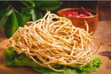 鱼腥草治脱发是真的吗 鱼腥草治脱发是真的吗