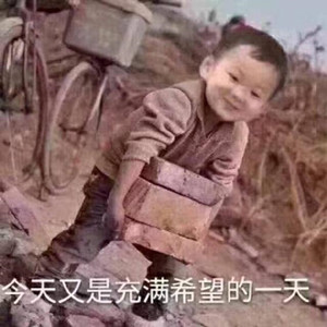 我选择打工是什么梗1 我选择打工是什么梗1