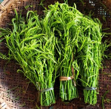 臭菜的功效与作用 臭菜的功效与作用