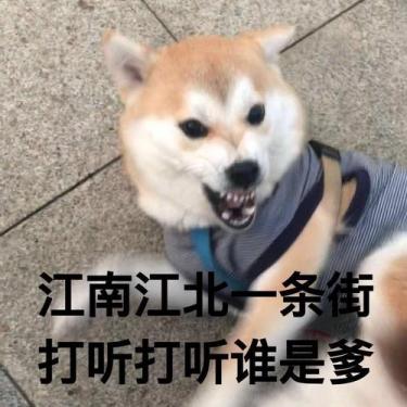 打听打听谁是爹什么梗2 打听打听谁是爹什么梗2