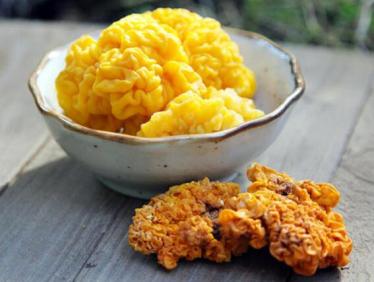 黄耳怎么吃最有营养 黄耳怎么吃最有营养