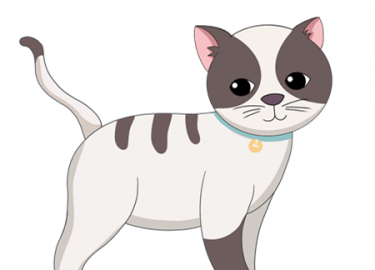 小花猫戴铃铛故事 小花猫戴铃铛故事