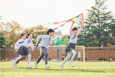 我的理想的小学生500字作文 我的理想的小学生500字作文