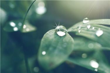 2022年梅雨季节是几月份到几月份结束 预计宝宝容易感冒吗 2022年梅雨季节是几月份到几月份结束 预计宝宝容易感冒吗