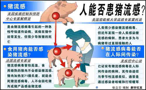 猪流感来了，猪肉还能不能吃？