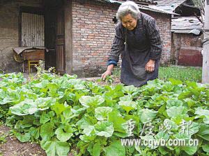 82岁老太拾荒养百岁母亲 10年没吃过炒菜