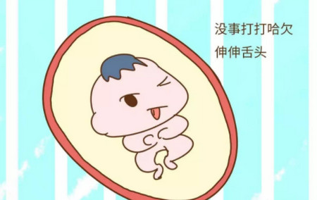 原来胎儿在妈妈肚里会有这么多“节目”！哈哈哈哈