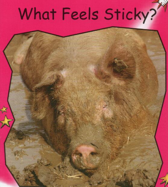 《What Feels Sticky》红火箭绘本pdf资源免费下载