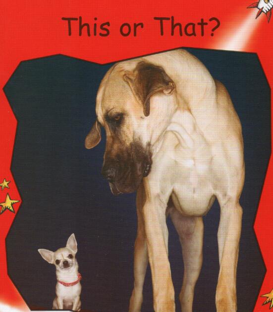 《This or That》红火箭分级阅读绘本pdf资源免费下载