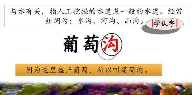 2021年部编版二年级上册第11课《葡萄沟》PPT课件资源免费下载