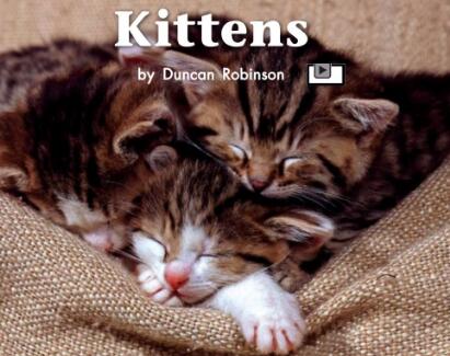 《Kittens》海尼曼绘本翻译及pdf资源下载