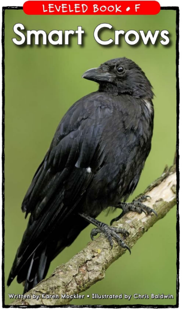 Smart Crows绘本PDF+音频百度云免费下载