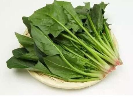 10月份蔬菜价格上涨原因