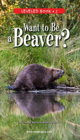Want to Be a Beaver绘本PDF+音频百度网盘免费下载