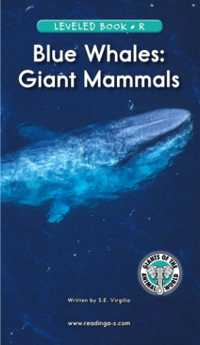 Blue Whales Giant Mammals绘本电子书+MP3百度网盘免费下载