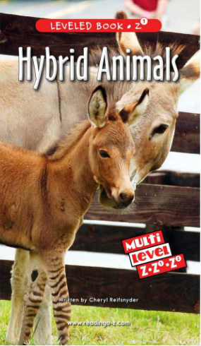 raz Z1级阅读Hybrid Animals绘本PDF+音频资源免费下载