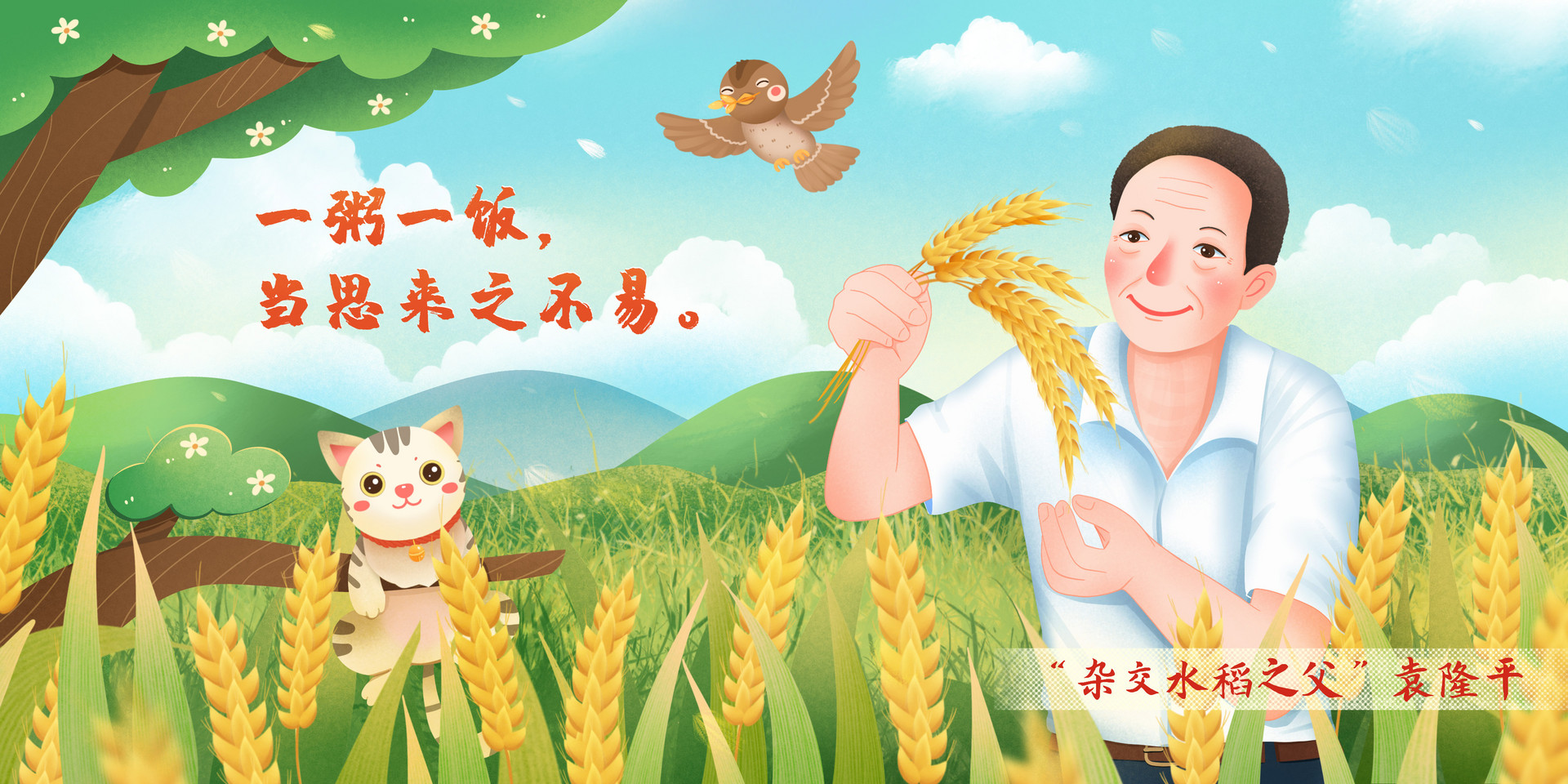我心中的英雄作文600字写袁隆平