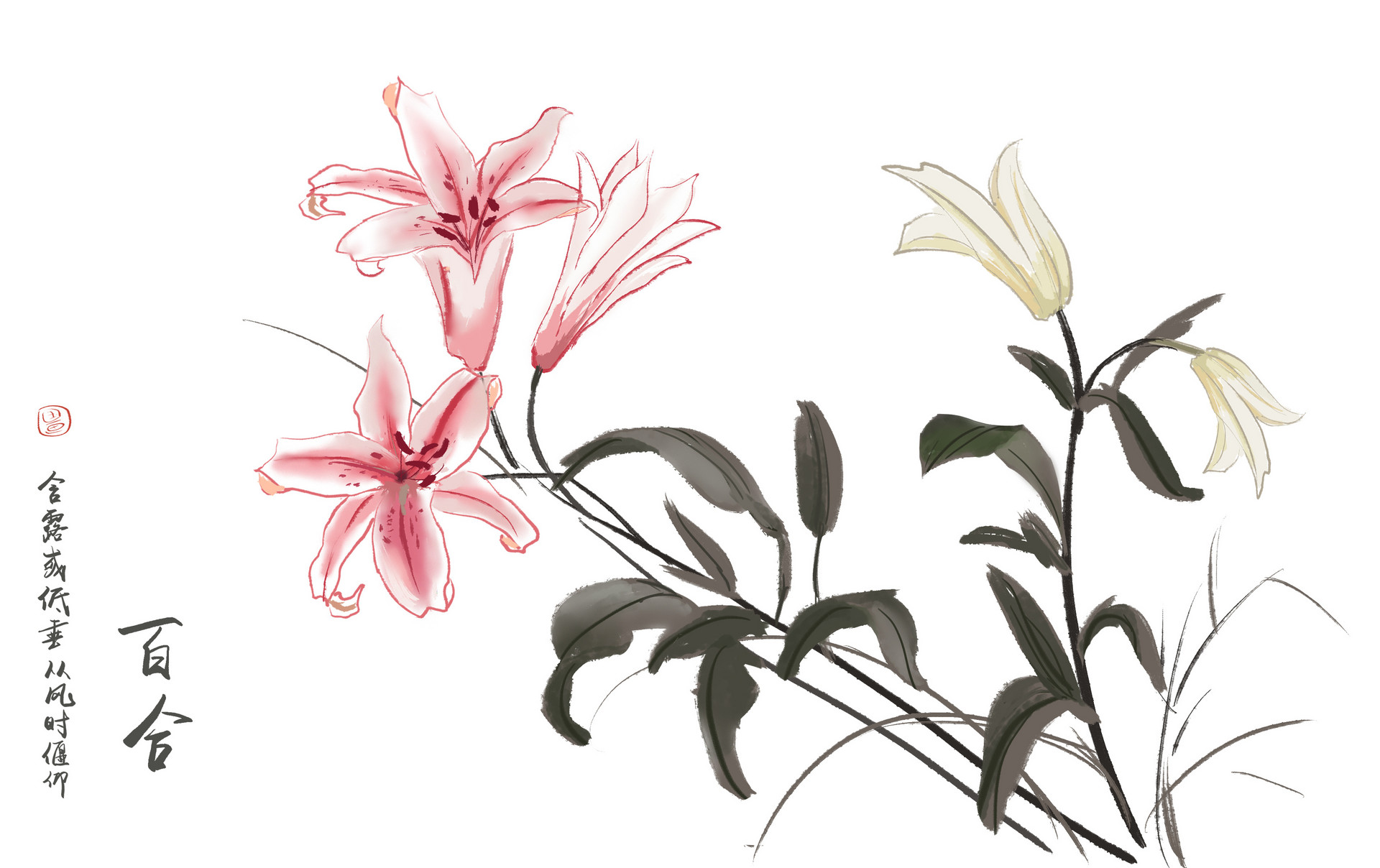 写花的作文300字左右三年级