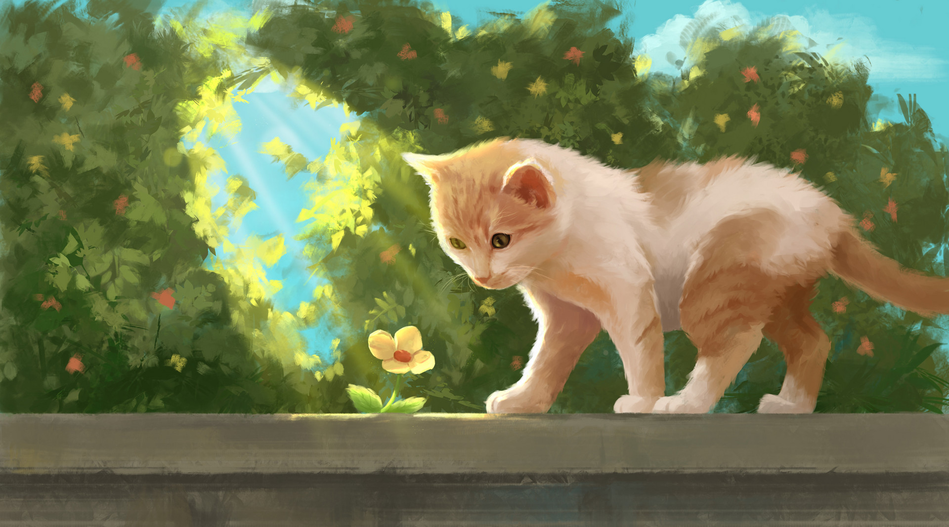 描写小动物的作文四年级400字写小猫