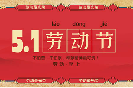让人刮目相看的鸭子的故事