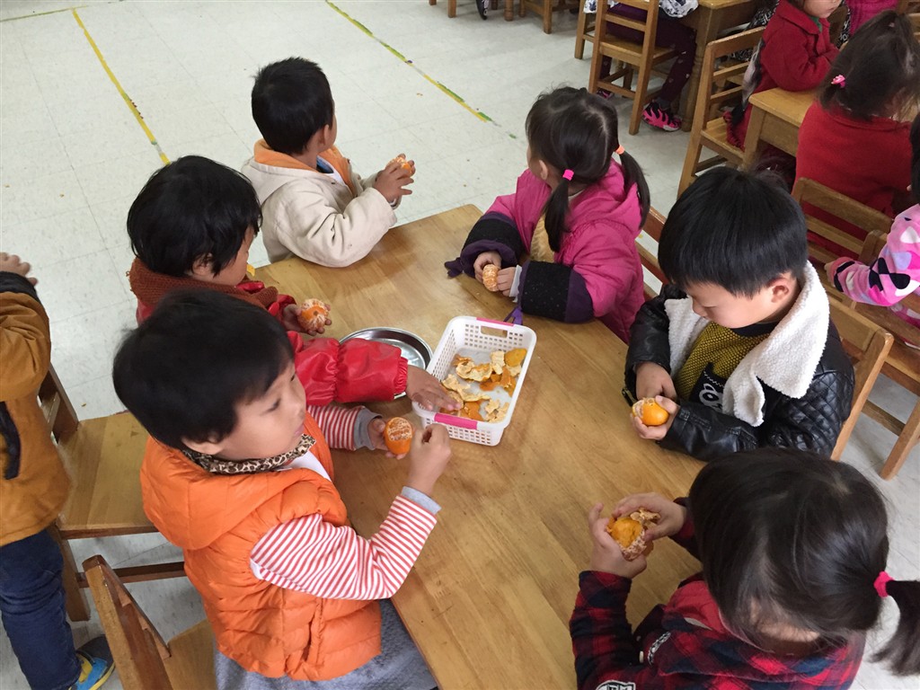 小班科学剥橘子教案