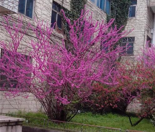 十二星座爱上人的表现