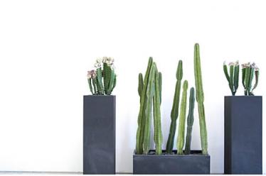 怀孕4周注意事项4