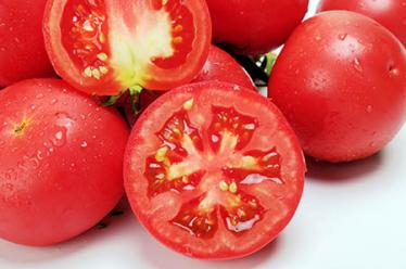 金线莲的功效与作用5