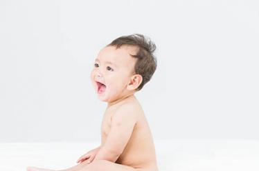 天鹅的故事2