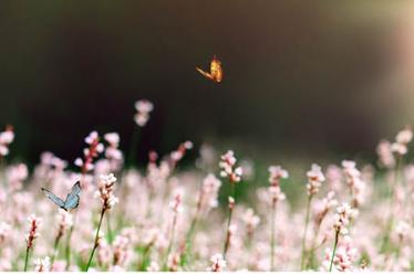 猩红热会反复发作吗