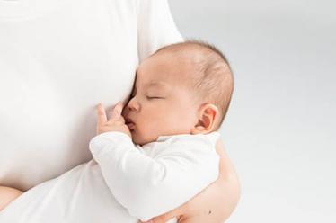 哺乳期可以吃蕨菜吗
