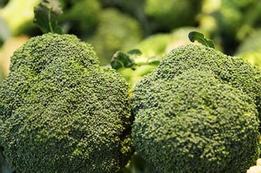 香瓜吃多了会上火吗