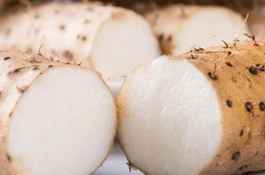 菠萝黑心了能吃吗