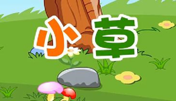 儿歌小草