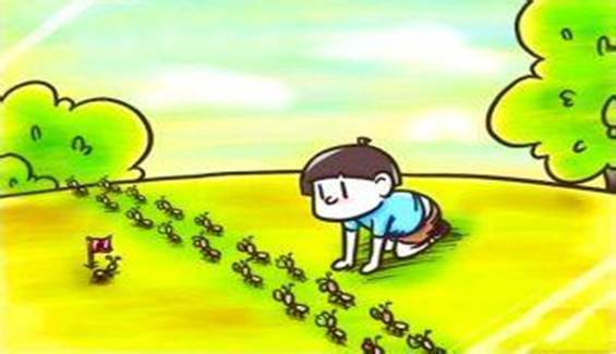 童谣蚂蚁搬虫虫